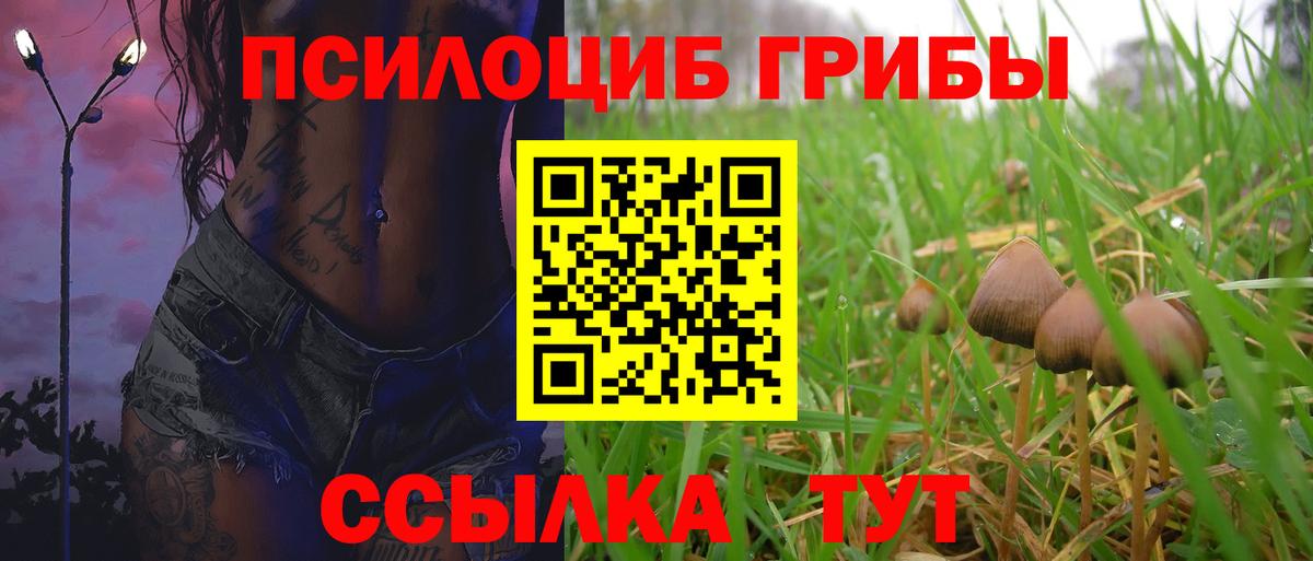 Псилоцибиновые грибы GOLDEN TEACHER Камень-на-Оби